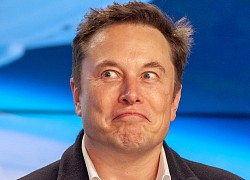 Tesla thực sự cần một 'Elon Musk thứ hai'?