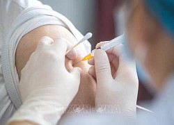 WTO xúc tiến đàm phán tăng nguồn cung vaccine cho các nước đang phát triển