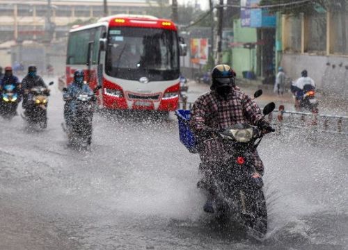 Bão Koguma suy yếu thành áp thấp nhiệt đới