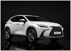 Chiêm ngưỡng vẻ đẹp của Lexus NX 2022 vừa trình làng