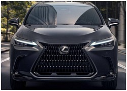 Lexus NX 2022 "lột xác" toàn diện, lịch lãm và khoẻ khoắn hơn