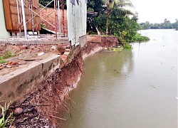 Sạt lở đất tuyến bờ Đông kênh Cần Lố