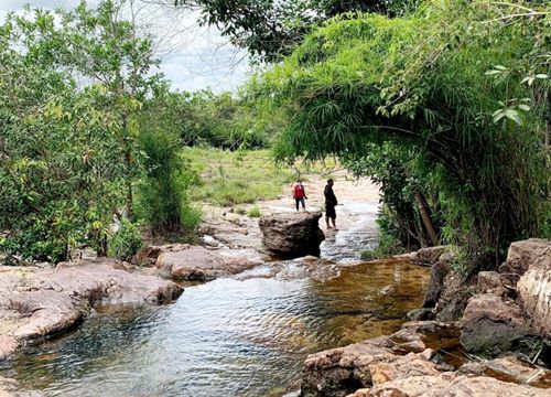 Suối Trúc - Điểm du lịch dã ngoại thú vị