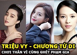 Triệu Vy &#8211; Chương Tử Di chơi thân vì cùng ghét Phạm Băng Băng, về sau trở mặt vì một đại gia?