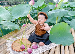 Bộ ảnh em bé bụ bẫm với loạt biểu cảm siêu cấp dễ thương giữa đầm sen khiến hội chị em thả tim không ngớt