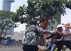 Cảnh sát quật ngã người vận chuyển ma túy