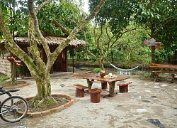 Độc đáo homestay "kiểu nhà quê" ở xứ nước nổi Cần Thơ