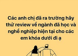 Dân mạng khoe ngành học và công việc hiện tại, đọc mà ngã ngửa vì toàn học một đằng làm một nẻo