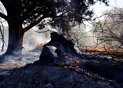 Israel không kích Gaza