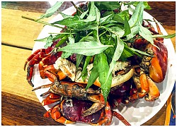 Lạ miệng với cù kỳ