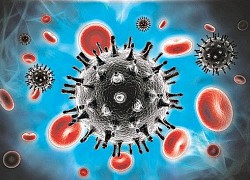Phát hiện virus nCoV trên sàn phòng bệnh nhân Covid-19