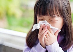Thuốc kháng histamine dạng xịt trị viêm mũi dị ứng