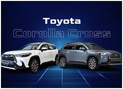 Toyota Corolla Cross tại Việt Nam và Mỹ khác nhau thế nào?