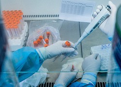 Trưa 17-6: Thêm 220 ca COVID-19, TP.HCM 30 ca, Bắc Giang 178 ca