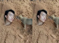 Tự "chôn" mình xuống đất để thử lòng chó cưng, chàng trai nhận về kết quả rớt nước mắt