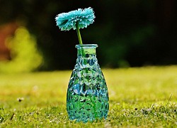 Tử vi ngày 17/6/2021 của 12 cung hoàng đạo: Nhân Mã tốt bụng