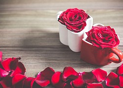 Tử vi ngày 19/6/2021 của 12 cung hoàng đạo: Nhân Mã năng lượng dồi dào