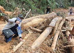 Ám ảnh Trà Leng