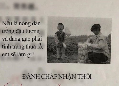 Bài kiểm tra có câu: "Nếu là nông dân gặp phải tình trạng thua lỗ thì em làm gì", cậu bé viết 4 từ mà cô không thốt nên lời