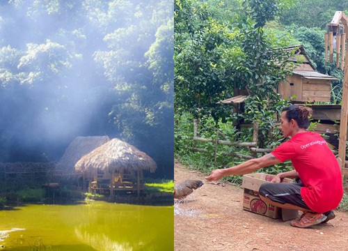 Chàng trai vào rừng làm 'ngôi nhà không của ai cả'