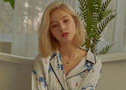 Cuộc sống của Nancy và Momoland