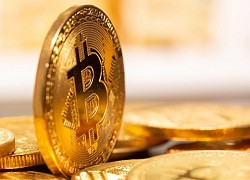 Giá Bitcoin hôm nay 21/6: Bitcoin giảm nhẹ, thị trường phân hóa