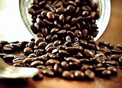 Giá cà phê hôm nay 19/6: Robusta khó bứt phá trên 1.600 USD, arabica đã trượt khỏi xu hướng tăng?