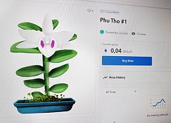 Lan đột biến thành vật phẩm số giá nghìn USD