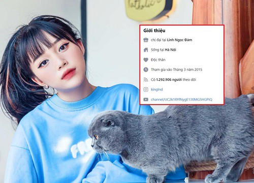 Liên tiếp bị report khiến tài khoản Facebook hàng triệu followers bị khóa, Linh Ngọc Đàm tuyên bố "nghỉ chơi"