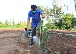 Phát động "Tết trồng cây đời đời nhớ ơn Bác Hồ"