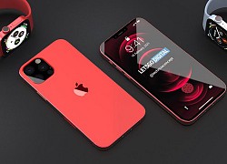 Apple có thể bán 223 triệu iPhone năm nay