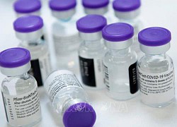 Australia dự kiến chủ yếu sử dụng các vaccine của Pfizer và Moderna