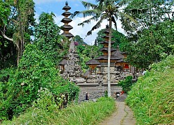 Đi bộ trên con đường tình yêu Campuhan Ridge Walk giữa thiên nhiên Ubud