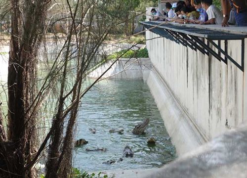 FLC "tung chiêu" nghỉ dưỡng 0 đồng cho người dân Bình Định