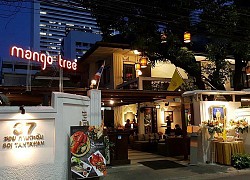 Hay tin Mango Tree nhà hàng - cà phê nổi tiếng của Thái Lan chuẩn bị "đổ bộ" Việt Nam, cả Sài Gòn đều mong hết dịch nhanh để còn check in