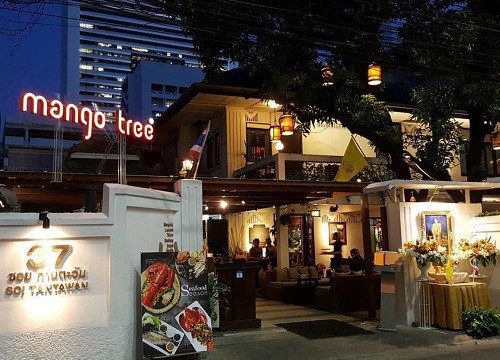 Hay tin Mango Tree nhà hàng - cà phê nổi tiếng của Thái Lan chuẩn bị "đổ bộ" Việt Nam, cả Sài Gòn đều mong hết dịch nhanh để còn check in