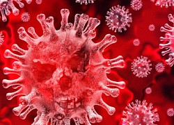 Biến chủng Delta: Úc cảnh báo hai người đi ngang qua cũng có thể lây virus