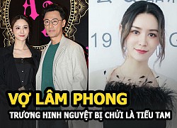 Vợ Lâm Phong &#8211; Trương Hinh Nguyệt bị chửi là tiểu tam, con gái thành &#8220;gái nhảy hộp đêm&#8221; giống mẹ