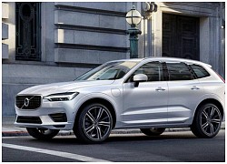 Volvo XC60 thế hệ tiếp theo sẽ chạy hoàn toàn bằng điện