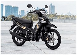 Yamaha Vega Force giá gần 1.200 USD, cạnh tranh Honda Wave Alpha