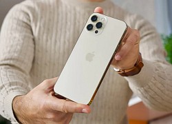 Apple sẽ ra mắt iPhone 14 Max 'giá mềm' vào năm 2022?