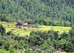 Bản vùng cao vào hè