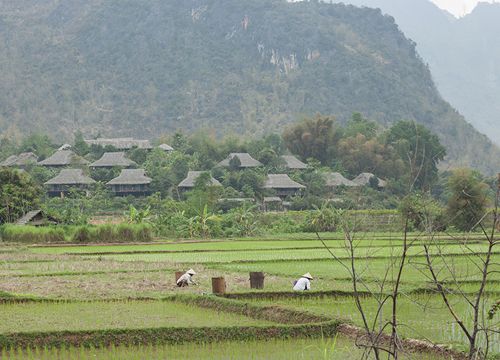 Đến Mai Châu hòa mình vào thiên nhiên núi rừng tĩnh lặng