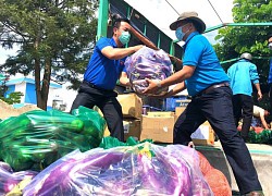 "Khi Sài Gòn đầy "băng bó", mình không thể ngoảnh mặt làm ngơ"