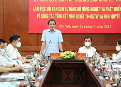 Nông nghiệp, nông dân, nông thôn nước ta mang sức sống mới, bộ mặt mới