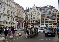 Thủ đô Vienna - "Quý ngài xa hoa và lịch lãm"