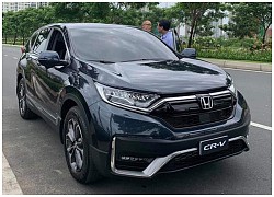 Xe sang giảm giá tới hơn 500 triệu đồng