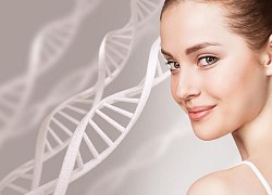 Collagen thế hệ mới từ Nhật Bản, chị em dứt khoát nên thử một lần