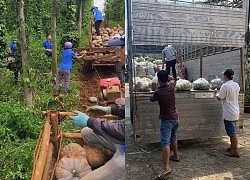 Đắk Nông gởi nông sản về Sài Gòn đáp lại chân tình: 'Có bán cũng chẳng giàu'