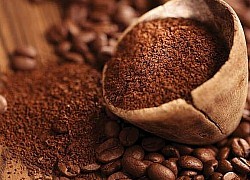 Giá cà phê hôm nay 3/7: Giá arabica lao dốc mạnh, hiện tượng lạ trên thị trường; hình thành xu hướng đi ngang?